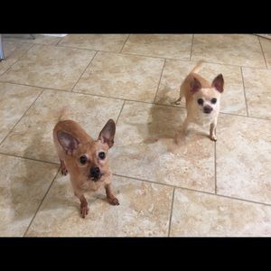 Meet your Posher, Kelley